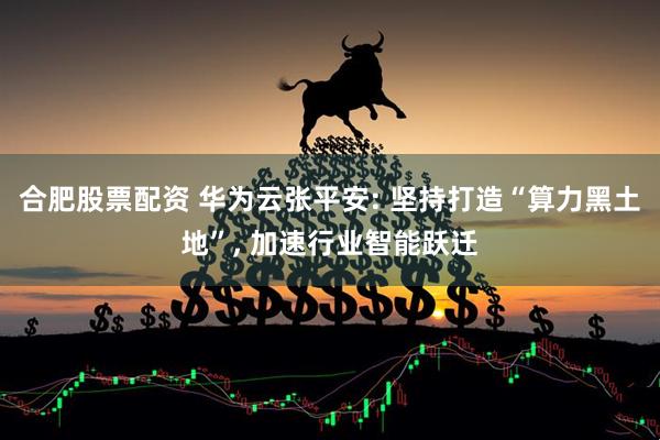 合肥股票配资 华为云张平安: 坚持打造“算力黑土地”, 加速行业智能跃迁