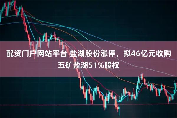 配资门户网站平台 盐湖股份涨停,拟46亿元收购五矿盐湖51%股权