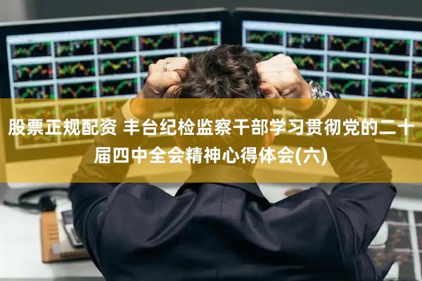 股票正规配资 丰台纪检监察干部学习贯彻党的二十届四中全会精神心得体会(六)