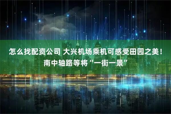 怎么找配资公司 大兴机场乘机可感受田园之美!南中轴路等将“一街一景”