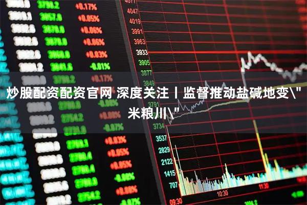 炒股配资配资官网 深度关注丨监督推动盐碱地变